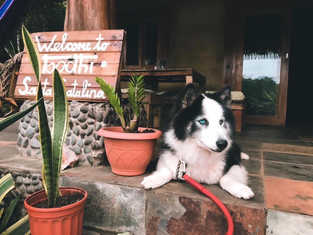 Bodhi Santa Catalina Pansiyon Dış mekan fotoğraf